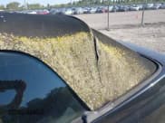 ✅ 2000 Volkswagen Cabriolet GLS • VIN: 3VWDC21VXYM808621 • Лот: 43133536. Опубликован ранее на IAAI с пробегом 156 671 миль. Бесплатный доступ к архиву аукционных продаж из США и подробный отчёт об истории автомобиля на DreamBid. Изображение 6.