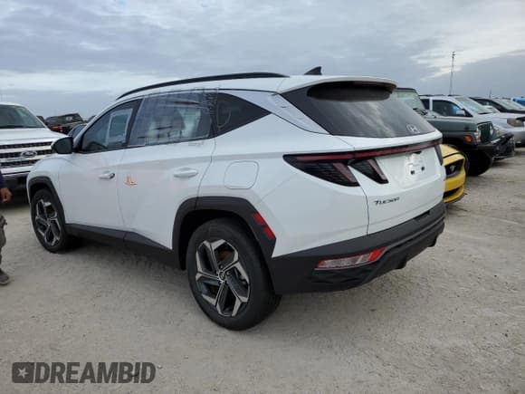 ✅ 2024 Hyundai Tucson SEL Convenience • VIN: KM8JCCD17RU212749 • Lot: 74913984. Wystawiony na Copart z przebiegiem Nie podano. Bezpłatny archiwum sprzedaży aukcyjnych z USA i szczegółowy raport historii pojazdu na DreamBid. Zdjęcie 2.