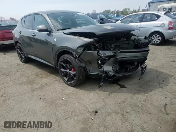 ✅ 2024 Dodge Hornet R/T • VIN: ZACPDFCW9R3A14547 • Lot: 55454915. Listed on Copart with 34,250 mi. Free auction sales archive from the USA and detailed vehicle history report at DreamBid. Image 14.