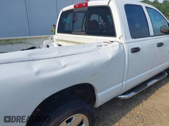 2003 Dodge 1500 ST z VIN 1D7HA18N83S214724, wystawiony jako IAAI lot #42566134 z przebiegiem 280 750 mil mil oraz . Historia ofert i sprzedaży dostępna na DreamBid. Obrazek 14.