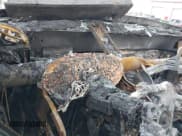 ✅ 2016 Ram 2500 SLT • VIN: 3C6TR4DT8GG138624 • Lot: 41680412. Wystawiony na IAAI z przebiegiem Nie podano. Bezpłatny archiwum sprzedaży aukcyjnych z USA i szczegółowy raport historii pojazdu na DreamBid. Zdjęcie 7.