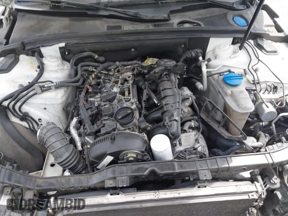 ✅ 2011 Audi A5 Premium • VIN: WAUCFAFH6BN018245 • Lot: 42309301. Listed on IAAI with 142,975 mi. Free auction sales archive from the USA and detailed vehicle history report at DreamBid. Image 10.