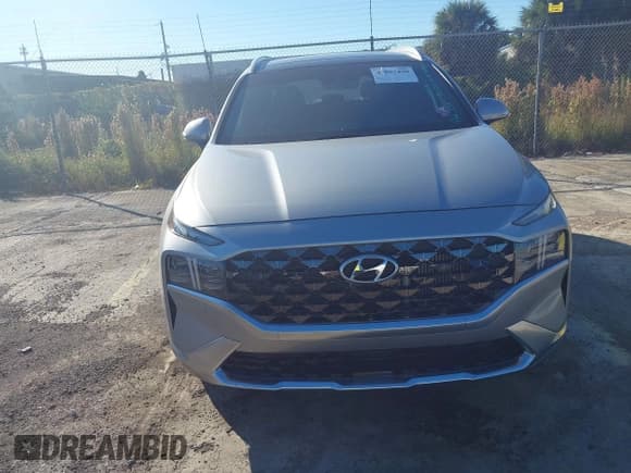✅ 2022 Hyundai Santa Fe Calligraphy • VIN: 5NMS54AL9NH430045 • Lot: 43582490. Listed on IAAI with 23,745 mi. Free auction sales archive from the USA and detailed vehicle history report at DreamBid. Image 12.