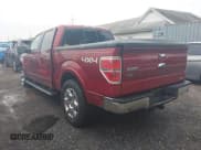 ✅ 2013 Ford F-150 XL • VIN: 1FTFW1EF3DFC39993 • Lot: 43023907. Listed on IAAI with 101,458 mi. Free auction sales archive from the USA and detailed vehicle history report at DreamBid. Image 3.