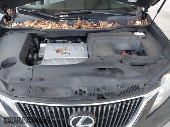 ✅ 2010 Lexus RX 350 • VIN: 2T2ZK1BA2AC001134 • Lot: 43804842. Wystawiony na IAAI z przebiegiem 248 188 mil. Bezpłatny archiwum sprzedaży aukcyjnych z USA i szczegółowy raport historii pojazdu na DreamBid. Zdjęcie 10.