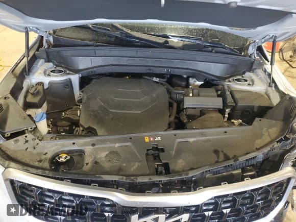 ✅ 2023 Kia Telluride SX Prestige • VIN: 5XYP5DGC6PG352298 • Lot: 56286705. Listed on Copart with Not provided. Free auction sales archive from the USA and detailed vehicle history report at DreamBid. Image 11.