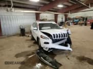 ✅ 2016 Jeep Cherokee Limited • VIN: 1C4PJLDS5GW171455 • Лот: 54168765. Опубликован ранее на Copart с пробегом Не указан. Бесплатный доступ к архиву аукционных продаж из США и подробный отчёт об истории автомобиля на DreamBid. Изображение 14.