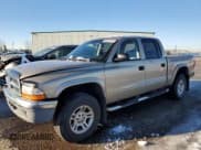 ✅ 2003 Dodge Dakota SLT • VIN: 1D7HG48N03S258538 • Lot: 88070715. Wystawiony na Copart z przebiegiem 137 616 mil. Bezpłatny archiwum sprzedaży aukcyjnych z USA i szczegółowy raport historii pojazdu na DreamBid. Zdjęcie 1.