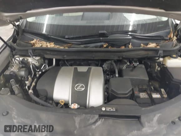 ✅ 2017 Lexus RX 350 • VIN: 2T2BZMCA3HC113559 • Lot: 43434118. Listed on IAAI with 129,005 mi. Free auction sales archive from the USA and detailed vehicle history report at DreamBid. Image 10.