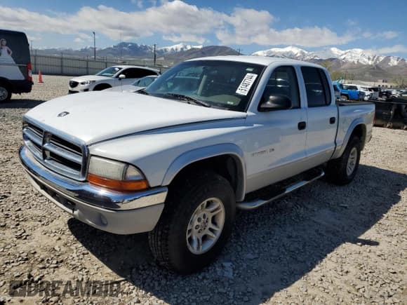 ✅ 2001 Dodge Dakota Sport • VIN: 1B7HG2AN81S245204 • Lot: 46337065. Wystawiony na Copart z przebiegiem 265 385 mil. Bezpłatny archiwum sprzedaży aukcyjnych z USA i szczegółowy raport historii pojazdu na DreamBid. Zdjęcie 1.