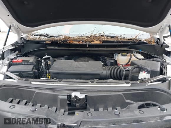 ✅ 2023 Cadillac Escalade 4WD Sport • VIN: 1GYS4EKL8PR373742 • Лот: 41109624. Опубликован ранее на IAAI с пробегом 15 776 миль. Бесплатный доступ к архиву аукционных продаж из США и подробный отчёт об истории автомобиля на DreamBid. Изображение 10.