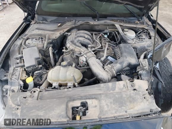 ✅ 2017 Ford Mustang V6 • VIN: 1FATP8EM4H5256892 • Lot: 41991537. Listed on IAAI with 39,861 mi. Free auction sales archive from the USA and detailed vehicle history report at DreamBid. Image 10.