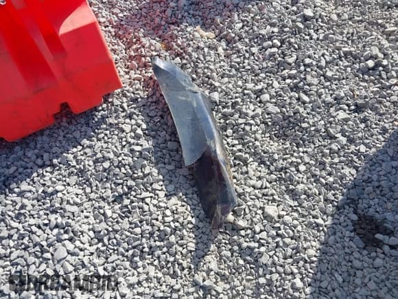 ✅ 2024 Toyota Corolla LE • VIN: 5YFB4MDE3RP223775 • Lot: 43274336. Listed on IAAI with 24,309 mi. Free auction sales archive from the USA and detailed vehicle history report at DreamBid. Image 12.