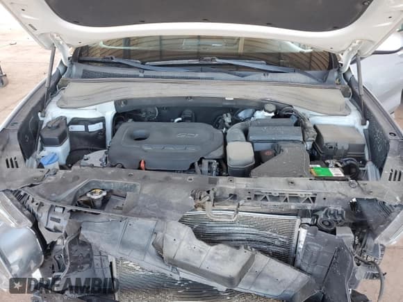 ✅ 2019 Hyundai Santa Fe SE • VIN: 5NMS23AD0KH066718 • Lot: 84984575. Wystawiony na Copart z przebiegiem 103 824 mil. Bezpłatny archiwum sprzedaży aukcyjnych z USA i szczegółowy raport historii pojazdu na DreamBid. Zdjęcie 11.