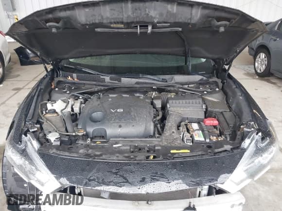 ✅ 2016 Nissan Maxima SL • VIN: 1N4AA6AP1GC421482 • Lot: 43536078. Wystawiony na IAAI z przebiegiem 243 803 mil. Bezpłatny archiwum sprzedaży aukcyjnych z USA i szczegółowy raport historii pojazdu na DreamBid. Zdjęcie 10.