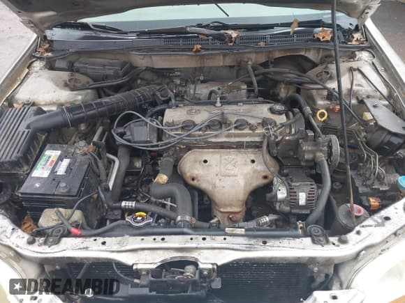 ✅ 1998 Honda Accord EX • VIN: 1HGCG5651WA101268 • Lot: 43874092. Listed on IAAI with Not provided. Free auction sales archive from the USA and detailed vehicle history report at DreamBid. Image 10.