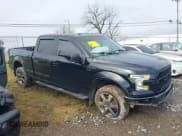 ✅ 2016 Ford F-150 XLT • VIN: 1FTFW1EF1GFA90441 • Lot: 43745131. Listed on IAAI with 219,784 mi. Free auction sales archive from the USA and detailed vehicle history report at DreamBid. Image 13.