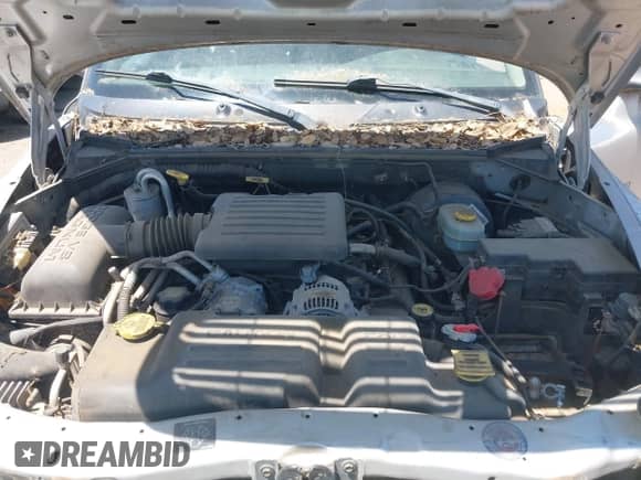 2002 Dodge Dakota SLT with VIN 1B7GG42N32S634050, listed as a IAAI auction lot 42582142 with Not provided miles and . Bid and sale history available at DreamBid. Image 10.