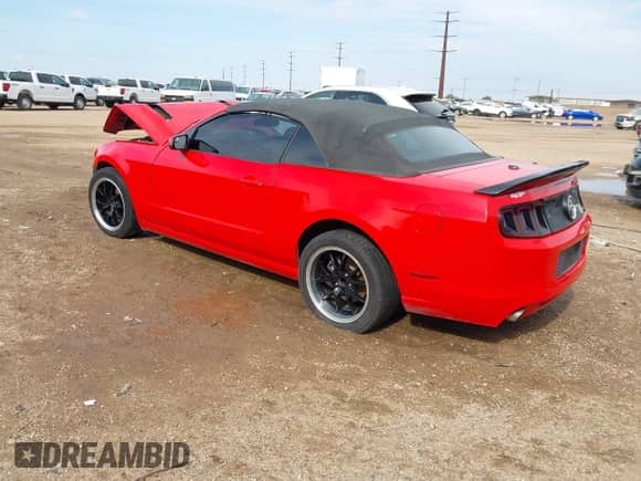 2014 Ford Mustang V6 с VIN 1ZVBP8EMXE5245569, выставлен на аукционе IAAI как лот 43398061 с пробегом Не указан миль и . История ставок и продаж доступна на DreamBid. Изображение 3.