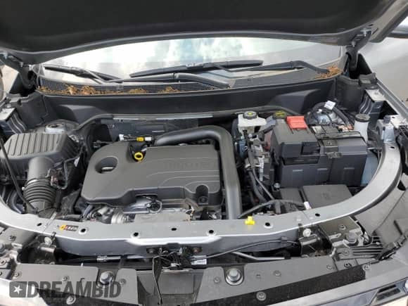 2025 Chevrolet Equinox AWD ACTIV с VIN 3GNAXSEG8SL121261, выставлен на аукционе Copart как лот 60112195 с пробегом 2 284 миль миль и Списание • Salvage title. История ставок и продаж доступна на DreamBid. Изображение 12.