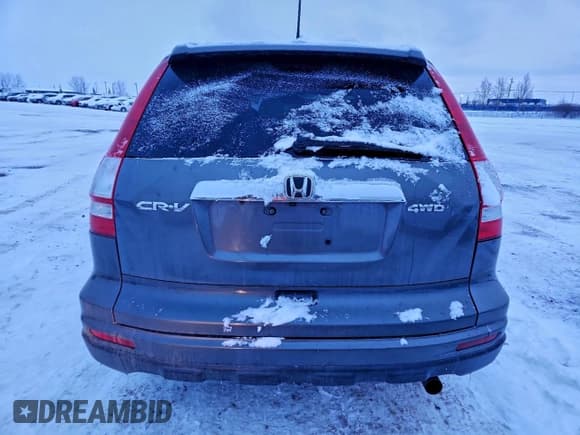 ✅ 2010 Honda CR-V EX-L • VIN: 5J6RE4H73AL804031 • Лот: 92995485. Опубликован ранее на Copart с пробегом 293 018 миль. Бесплатный доступ к архиву аукционных продаж из США и подробный отчёт об истории автомобиля на DreamBid. Изображение 6.