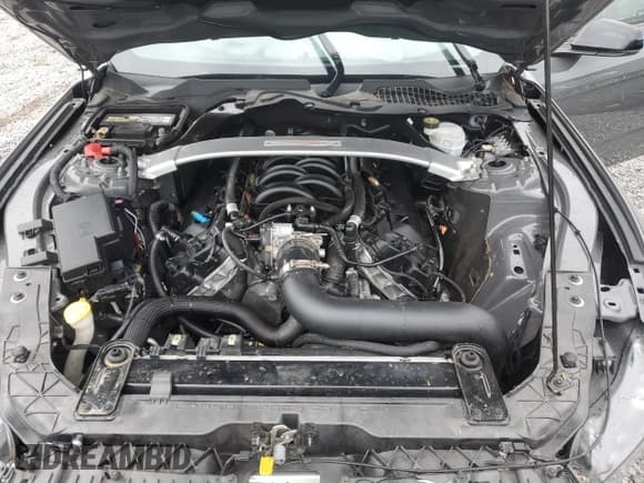 ✅ 2018 Ford Mustang Shelby GT350 • VIN: 1FA6P8JZ7J5503536 • Lot: 61778435. Listed on Copart with 53,535 mi. Free auction sales archive from the USA and detailed vehicle history report at DreamBid. Image 11.