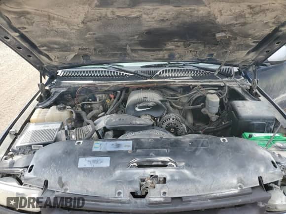 2002 Chevrolet Silverado 1500 LS with VIN 2GCEK19V321216162, listed as a Copart auction lot 84807685 with 287,684 mi miles and Salvage title. Bid and sale history available at DreamBid. Image 11.