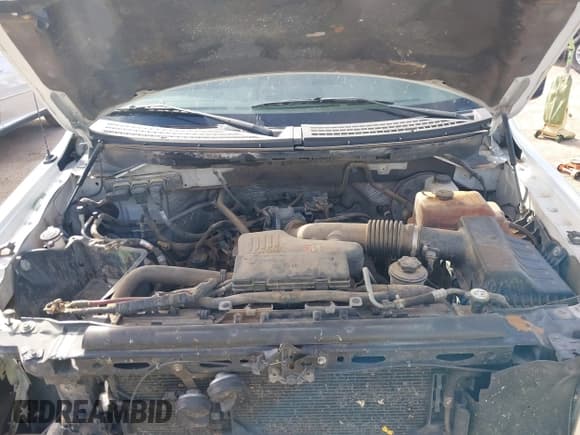 ✅ 2010 Ford F-150 XL • VIN: 1FTMF1CW5AKA21504 • Лот: 43692087. Опубликован ранее на IAAI с пробегом 313 359 миль. Бесплатный доступ к архиву аукционных продаж из США и подробный отчёт об истории автомобиля на DreamBid. Изображение 10.