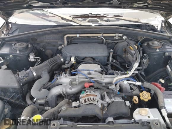 ✅ 2008 Subaru Forester X • VIN: JF1SG65658H726346 • Lot: 41723443. Listed on IAAI with 158,286 mi. Free auction sales archive from the USA and detailed vehicle history report at DreamBid. Image 10.