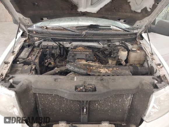 ✅ 2006 Ford F-150 XLT • VIN: 1FTPW14VX6FB68789 • Lot: 43061824. Wystawiony na IAAI z przebiegiem 319 084 mil. Bezpłatny archiwum sprzedaży aukcyjnych z USA i szczegółowy raport historii pojazdu na DreamBid. Zdjęcie 10.