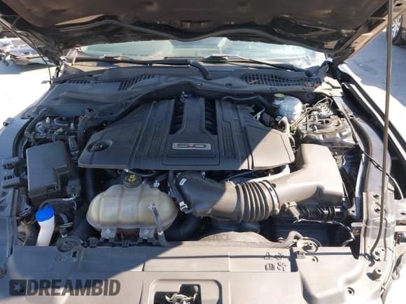 ✅ 2021 Ford Mustang GT • VIN: 1FA6P8CFXM5138390 • Lot: 42635895. Listed on IAAI with 59,184 mi. Free auction sales archive from the USA and detailed vehicle history report at DreamBid. Image 10.