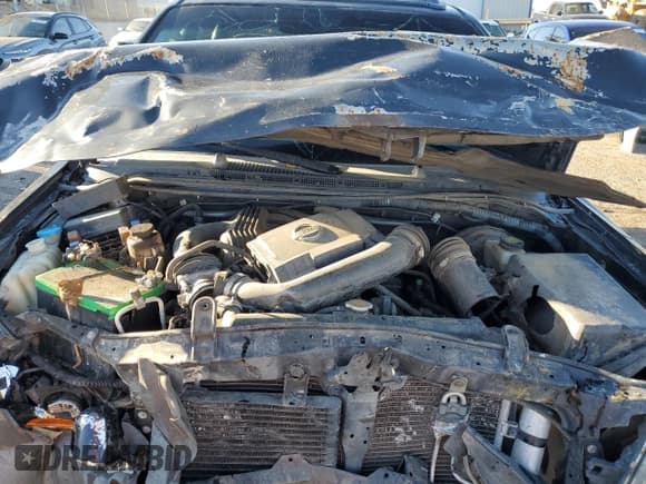 ✅ 2008 Nissan Xterra S • VIN: 5N1AN08U88C541378 • Lot: 61332075. Listed on Copart with Not provided. Free auction sales archive from the USA and detailed vehicle history report at DreamBid. Image 12.