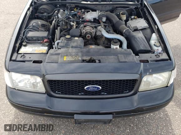 ✅ 2010 Ford Police Interceptor • VIN: 2FABP7BV7AX131117 • Lot: 71594305. Wystawiony na Copart z przebiegiem Nie podano. Bezpłatny archiwum sprzedaży aukcyjnych z USA i szczegółowy raport historii pojazdu na DreamBid. Zdjęcie 11.