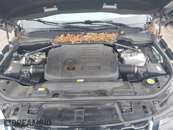 ✅ 2020 Land Rover Range Rover Sport HSE • VIN: SALWR2SU0LA731904 • Lot: 42992229. Listed on IAAI with 40,959 mi. Free auction sales archive from the USA and detailed vehicle history report at DreamBid. Image 10.