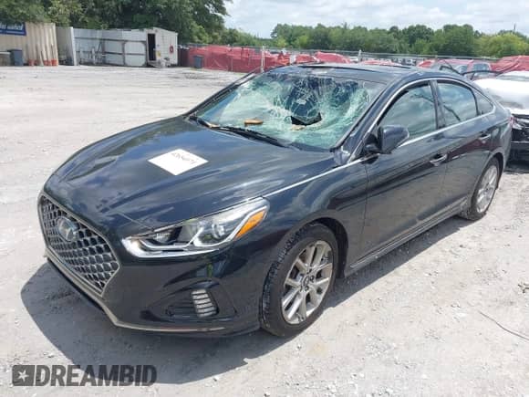 2018 Hyundai Sonata Limited with VIN 5NPE34AB4JH671132, listed as a IAAI auction lot 42654171 with 90,495 mi miles and . Bid and sale history available at DreamBid. Image 17.