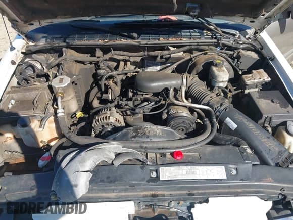 ✅ 2004 Chevrolet Blazer LS • VIN: 1GNCS13XX4K169093 • Lot: 43520737. Listed on IAAI with Not provided. Free auction sales archive from the USA and detailed vehicle history report at DreamBid. Image 10.