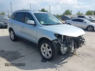 ✅ 2007 Hyundai Santa Fe SE • VIN: 5NMSH13E87H060570 • Lot: 43514200. Wystawiony na IAAI z przebiegiem 116 411 mil. Bezpłatny archiwum sprzedaży aukcyjnych z USA i szczegółowy raport historii pojazdu na DreamBid. Zdjęcie 1.