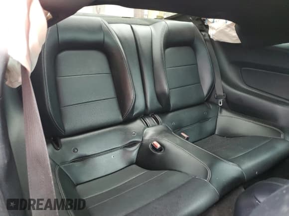 ✅ 2017 Ford Mustang GT Premium • VIN: 1FA6P8CF1H5281430 • Lot: 91838205. Wystawiony na Copart z przebiegiem 91 352 mil. Bezpłatny archiwum sprzedaży aukcyjnych z USA i szczegółowy raport historii pojazdu na DreamBid. Zdjęcie 11.