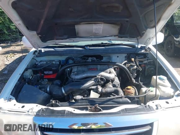 ✅ 2002 Suzuki XL7 Standard • VIN: JS3TX92VX24122111 • Lot: 42340894. Listed on IAAI with 250,309 mi. Free auction sales archive from the USA and detailed vehicle history report at DreamBid. Image 10.