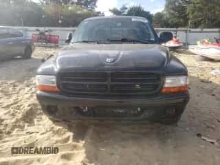 2003 Dodge Dakota Sport z VIN 1D7HL32N73S368162, wystawiony jako Copart lot #76056254 z przebiegiem 228 099 mil mil oraz Szkoda całkowita • Salvage title. Historia ofert i sprzedaży dostępna na DreamBid. Obrazek 5.