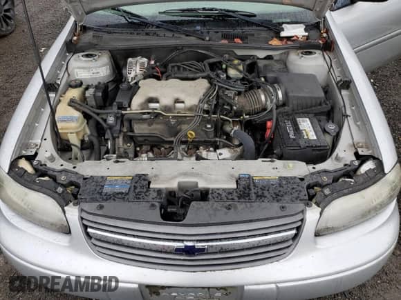 2003 Chevrolet Malibu z VIN 1G1ND52J23M736795, wystawiony jako Copart lot #86127324 z przebiegiem 108 749 mil mil oraz Szkoda całkowita • Salvage title. Historia ofert i sprzedaży dostępna na DreamBid. Obrazek 11.