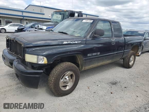 1999 Dodge 1500 z VIN 3B7HF13Z3XG156105, wystawiony jako Copart lot #71061384 z przebiegiem 267 990 mil mil oraz Szkoda całkowita • Salvage title. Historia ofert i sprzedaży dostępna na DreamBid. Obrazek 1.