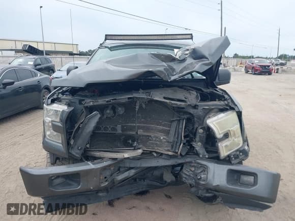 ✅ 2017 Ford F-150 XL • VIN: 1FTEW1EF2HFA71491 • Lot: 43605253. Listed on IAAI with 185,460 mi. Free auction sales archive from the USA and detailed vehicle history report at DreamBid. Image 12.