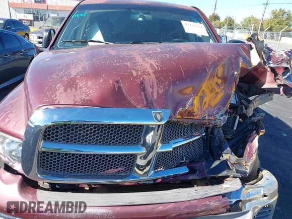 ✅ 2002 Dodge 1500 • VIN: 3D7HU18N82G199879 • Lot: 43432724. Wystawiony na IAAI z przebiegiem 221 773 mil mil. Skorzystaj z bezpłatnego archiwum sprzedaży aukcyjnych z USA i zobacz szczegółowy raport historii pojazdu na DreamBid. Zdjęcie 10.