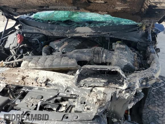 ✅ 2023 Ford F-150 Raptor • VIN: 1FTFW1RG2PFB90793 • Lot: 92055865. Listed on Copart with 36,215 mi. Free auction sales archive from the USA and detailed vehicle history report at DreamBid. Image 11.