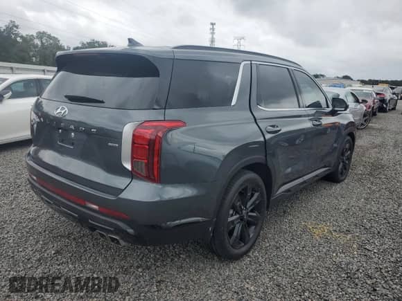 2024 Hyundai Palisade XRT z VIN KM8R3DGE1RU686056, wystawiony jako Copart lot #74942404 z przebiegiem Nie podano mil oraz Szkoda całkowita • Salvage title. Historia ofert i sprzedaży dostępna na DreamBid. Obrazek 3.
