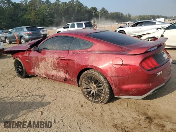 ✅ 2019 Ford Mustang GT Premium • VIN: 1FA6P8CF5K5166787 • Lot: 81135285. Listed on Copart with Not provided. Free auction sales archive from the USA and detailed vehicle history report at DreamBid. Image 2.