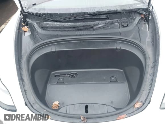 ✅ 2019 Tesla Model 3 Long Range • VIN: 5YJ3E1EB0KF487607 • Lot: 43742331. Wystawiony na IAAI z przebiegiem 65 449 mil. Bezpłatny archiwum sprzedaży aukcyjnych z USA i szczegółowy raport historii pojazdu na DreamBid. Zdjęcie 10.