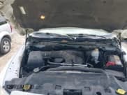 ✅ 2010 Dodge 1500 Sport • VIN: 1D7RV1CT0AS255392 • Lot: 42750191. Wystawiony na IAAI z przebiegiem 118 189 mil. Bezpłatny archiwum sprzedaży aukcyjnych z USA i szczegółowy raport historii pojazdu na DreamBid. Zdjęcie 10.