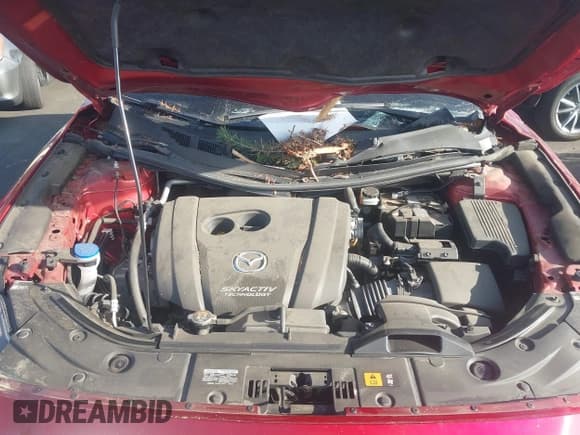 ✅ 2019 Mazda CX-5 Sport • VIN: JM3KFABM7K1506684 • Lot: 43365481. Listed on IAAI with 65,006 mi. Free auction sales archive from the USA and detailed vehicle history report at DreamBid. Image 10.